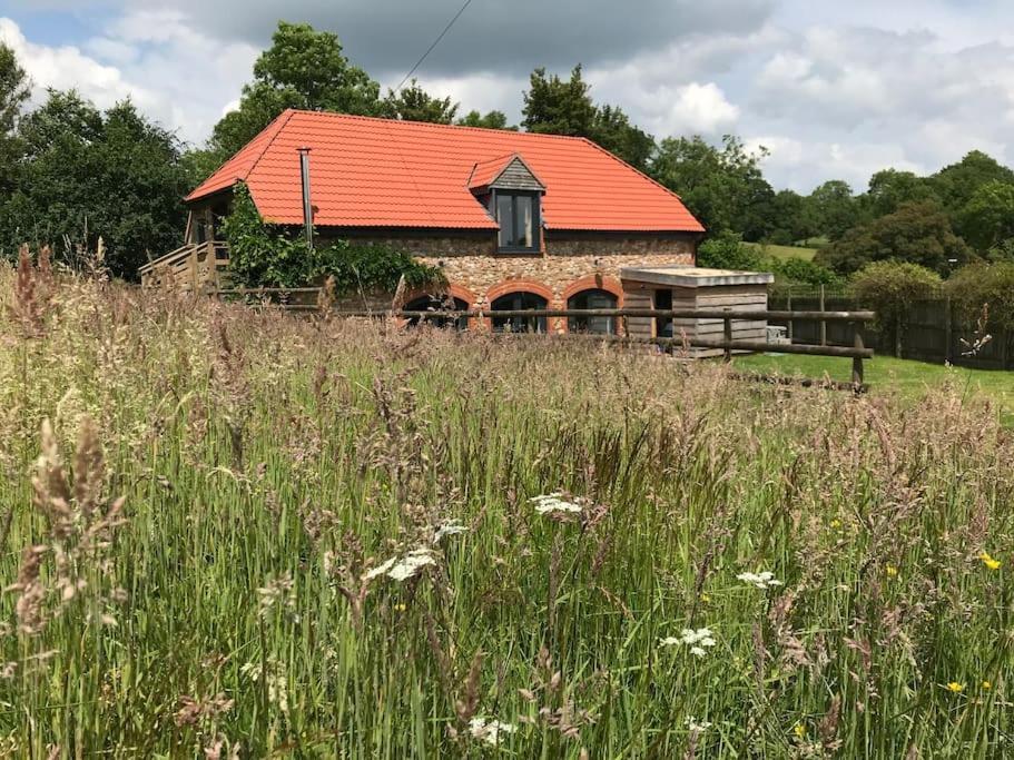 Burleyhayes Barn - Secluded Devon Hideaway. Villa Hemyock Luaran gambar